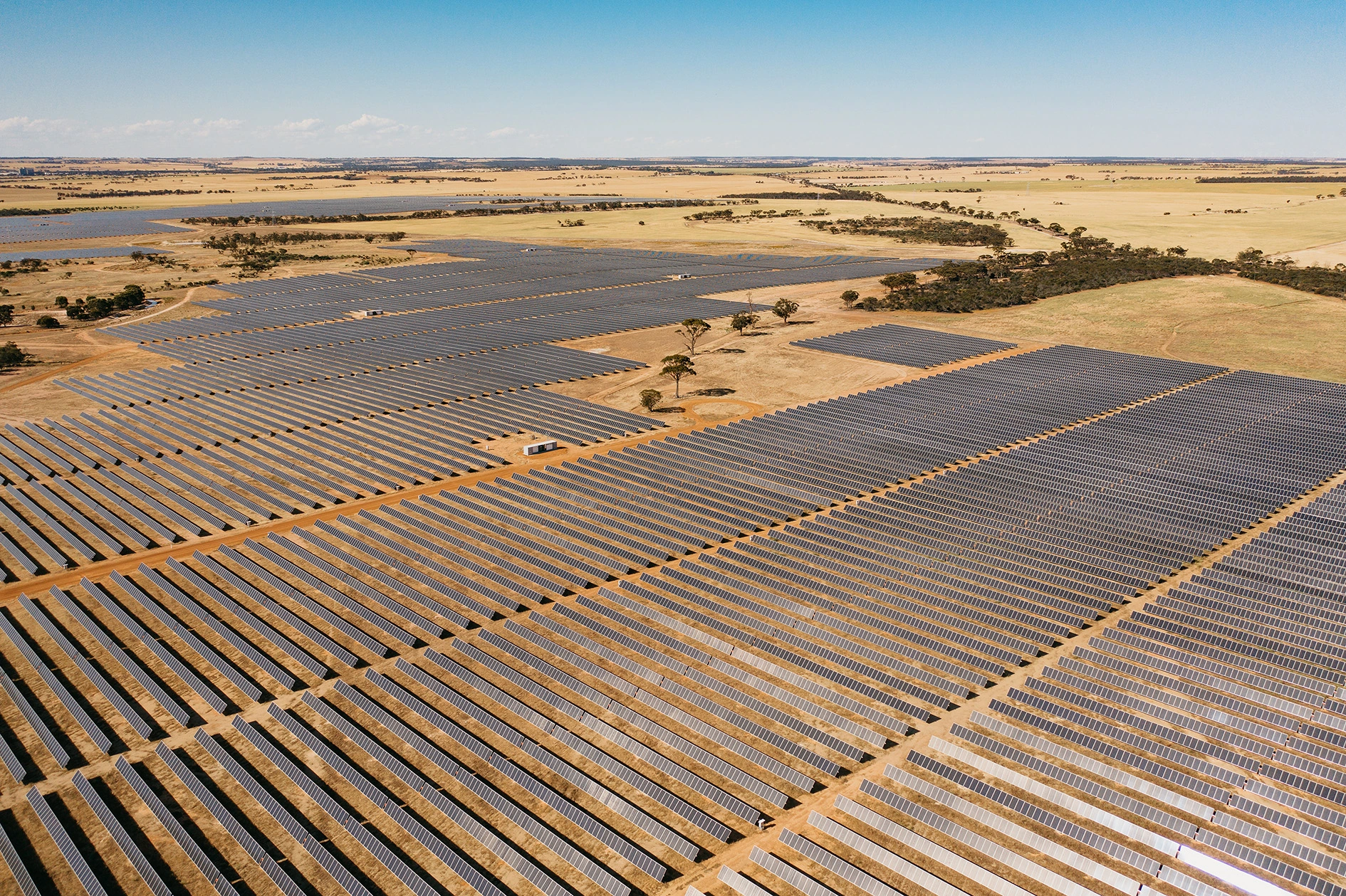 Risen Solar Panels Powering the Merredin Solar Farm with blue sky on the horizon