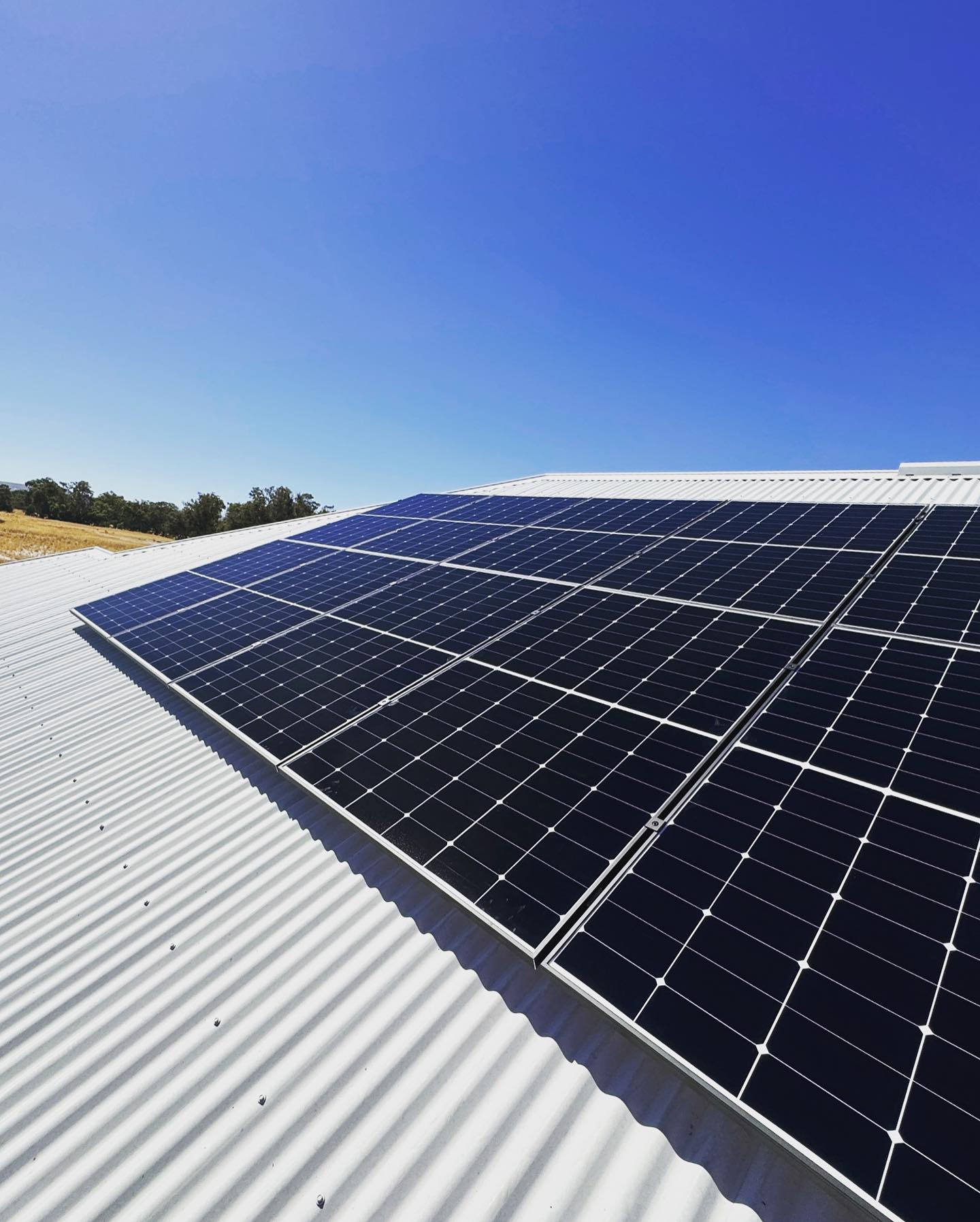 LONGi Hi-MO 6 Solar Panels